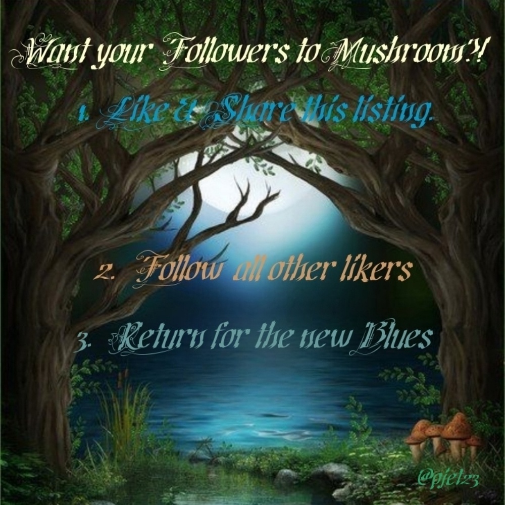Followers